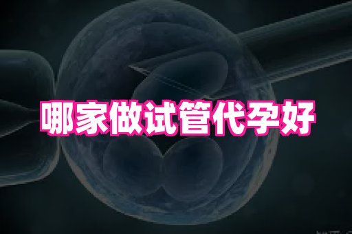 天津助孕网站 2
