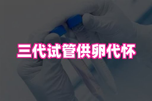 天津助孕网站 3