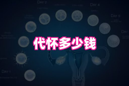 天津助孕网站 4